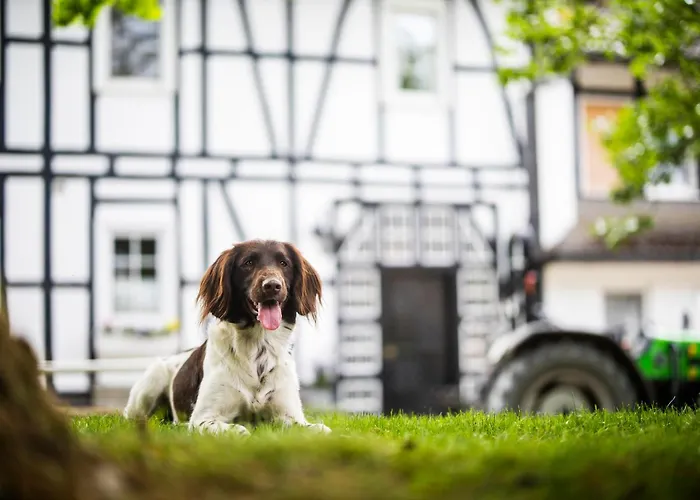 Hof Koehne - Haus Im Glueck Links *