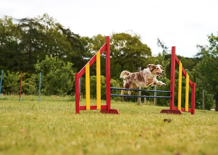 Hof Koehne - Haus Im Glueck Links