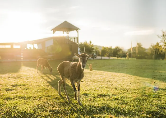 Hof Koehne - Haus Im Glueck Links * Schmallenberg