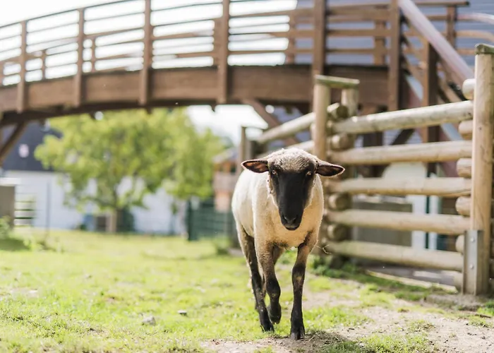Vakantiehuis Hof Koehne - Haus Im Glueck Links