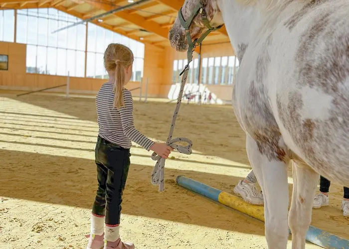 Hof Koehne - Haus Im Glueck Links